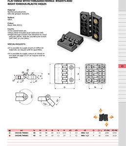 FLAT HINGE WITH THREADED FEMALE INSERTS AND RIGHT THROUG PLASTIC HOLES