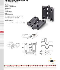 FLAT HINGE WITH LOWERED PIVOT PIN AND THROUGH HOLES