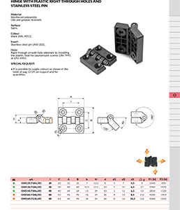 HINGE WITH PLASTIC RIGHT THROUGH HOLES AND STAINLESS STEEL PIN
